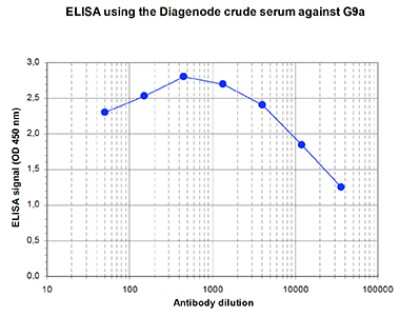 ELISA: G9a/EHMT2 Antibody [NBP3-18664]
